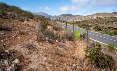 Parcela de 5933 m2, hermosa vista. Sector La Estrella de El Rosario. La Serena. $28 millones