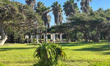 ESTUDOS FRENTE AL MAR, ACCESO Y TOTALMENTE AMUEBLADOS
