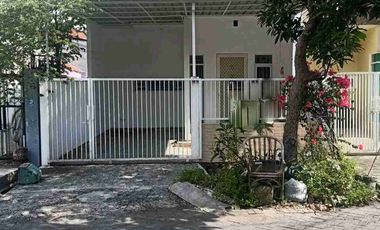 Disewakan Rumah 2 lantai di Ploso Timur Surabaya