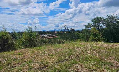 LOTE CAMPESTRE PEREIRA