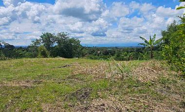 LOTE CAMPESTRE PEREIRA