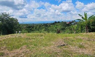 LOTE CAMPESTRE PEREIRA