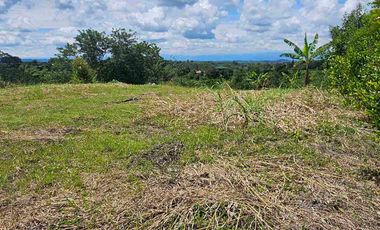 LOTE CAMPESTRE PEREIRA