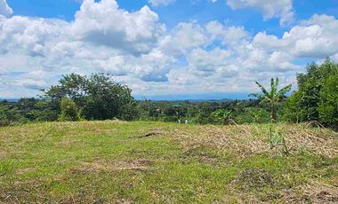 LOTE CAMPESTRE PEREIRA