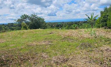 LOTE CAMPESTRE PEREIRA