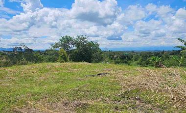 LOTE CAMPESTRE PEREIRA