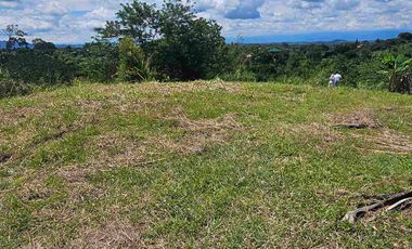 LOTE CAMPESTRE PEREIRA