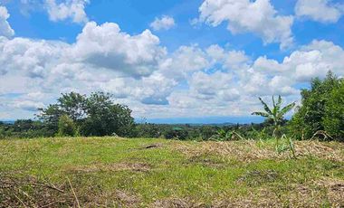 LOTE CAMPESTRE PEREIRA