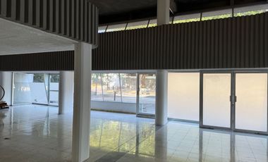 EDIFICIO EN LA COL. AMERICANA