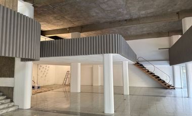 EDIFICIO EN LA COL. AMERICANA