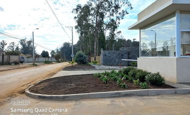 Venta De Departamento En Jardines De La Candelaria