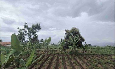 Tanah Kavling di Dekat Pemda Bandung Barat