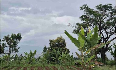 Tanah Kavling di Dekat Pemda Bandung Barat