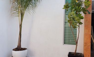 Casa en venta Pachuca, Bosques del Peñar a 3 minutos de Plaza Q con doble acceso