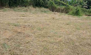 Lote campestre y de servicios