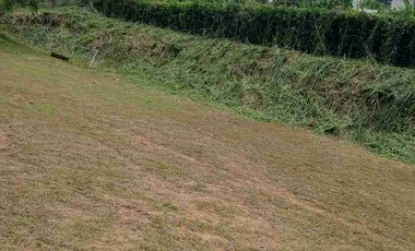 Lote campestre y de servicios