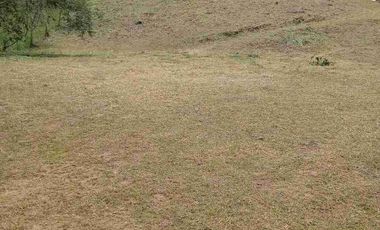 Lote campestre y de servicios