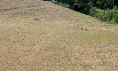 Lote campestre y de servicios