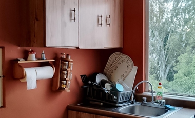 Departamento RENTA Nueva Jacarandas