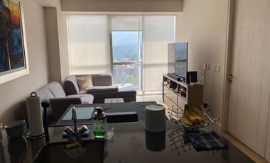 Departamento Renta 1rec Amueblado super buen gusto la mejor vista del residencial