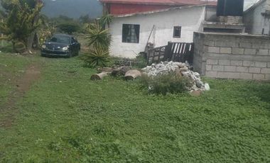 🏡 Casa Campirana en Venta – San Juan Solís, San Agustín Tlaxiaca, Hidalgo 🌿