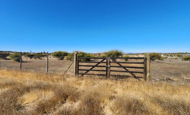 Se vende Parcela de 5.000 m2 en Marchigue