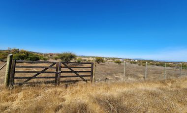 Se vende Parcela de 5.000 m2 en Marchigue