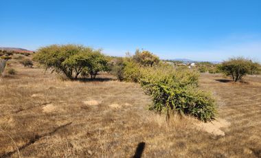 Se vende Parcela de 5.000 m2 en Marchigue