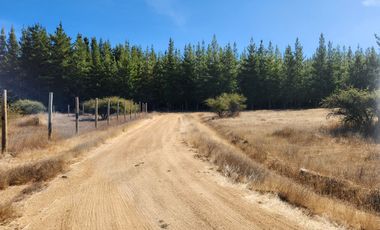 Se vende Parcela de 5.000 m2 en Marchigue