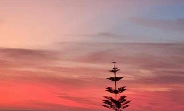 Departamento 3 dormitorios Mares del  Sur