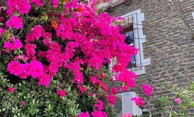 Extraordinaria Ubicación Condell María Luisa Santander