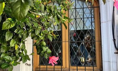 Extraordinaria Ubicación Condell María Luisa Santander