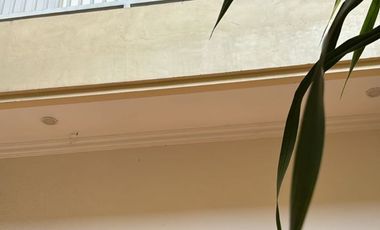 RUMAH GRIYA PERMATA GEDANGAN SIDOARJO MINIMALIS BAGUS TERAWAT SIAP HUNI