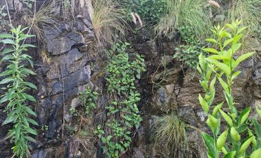 Departamento en renta a 5 min de Punto Sur