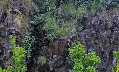 Departamento en renta a 5 min de Punto Sur