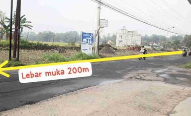 sawah sumbersari moyudan