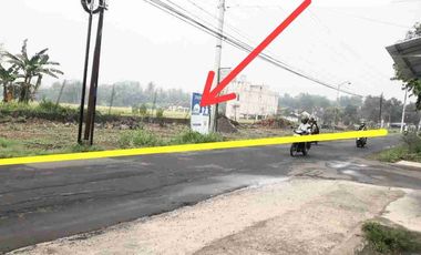 sawah sumbersari moyudan