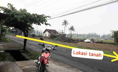 sawah sumbersari moyudan