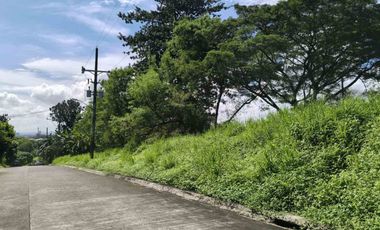 Exclusive Susana Heights Village Lot For Sale - A New First Class Residential Community In The South Near Ayala Alabang