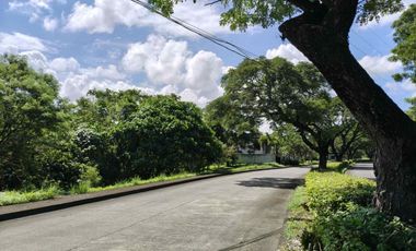 Exclusive Susana Heights Village Lot For Sale - A New First Class Residential Community In The South Near Ayala Alabang