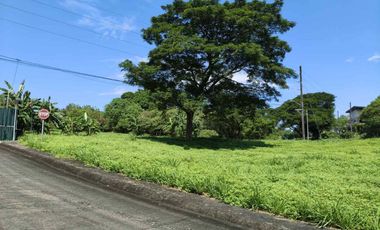 Exclusive Susana Heights Village Lot For Sale - A New First Class Residential Community In The South Near Ayala Alabang