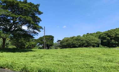 Exclusive Susana Heights Village Lot For Sale - A New First Class Residential Community In The South Near Ayala Alabang