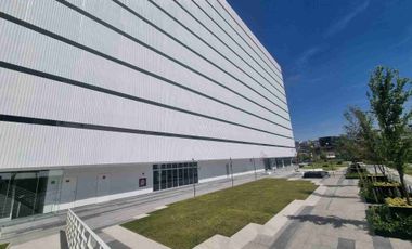 renta departamento en Montebosco