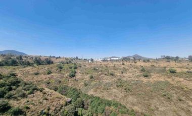 renta departamento en Montebosco