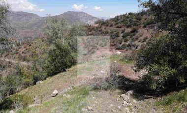 Vendo Parcela en Fundo San Francisco, San Esteban.