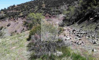 Vendo Parcela en Fundo San Francisco, San Esteban.