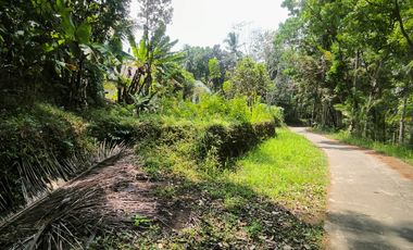 RUMAH DENGAN TANAH SANGAT LUAS DI KULONPROGO