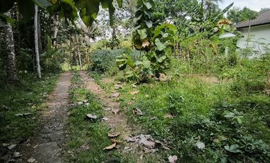 RUMAH DENGAN TANAH SANGAT LUAS DI KULONPROGO