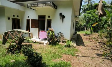 RUMAH DENGAN TANAH SANGAT LUAS DI KULONPROGO