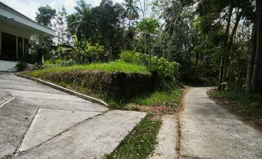 RUMAH DENGAN TANAH SANGAT LUAS DI KULONPROGO